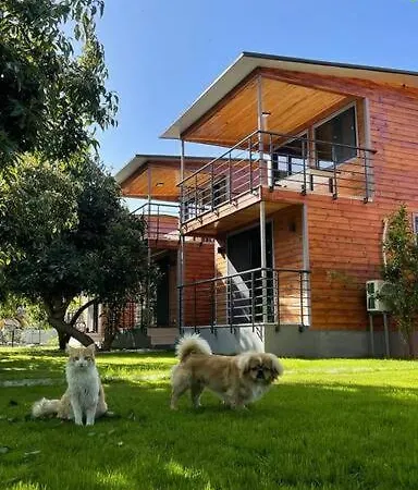 Avohomes Bungalov